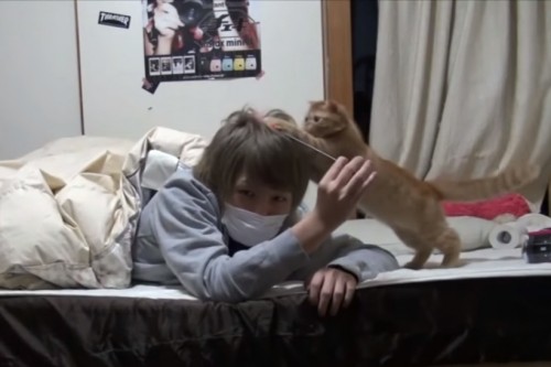 マホト 猫