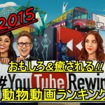 2015年おもしろ&癒し系YouTube動物動画ランキングTOP20!