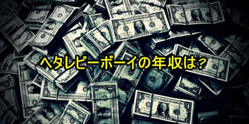 ヘタレビーボーイ 年収