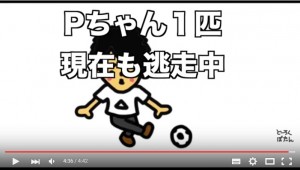 マホト ゴキブリ Pちゃん