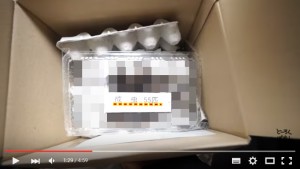 マホト　ゴキブリ02