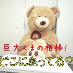 はじめしゃちょーのくまのぬいぐるみ所沢の値段や販売店は?紫色の熊ダークネス井上も名前の由来と共にご紹介!