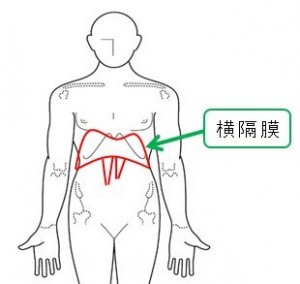 ユーチューバーは馬鹿はじめしゃちょーが抜き打ちテストw結果は…26