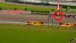 megwin競馬で総額120万円の大当たり!ヤバすぎるw24