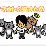 マホトが飼っている猫は何匹?名前は?まとめてご紹介!