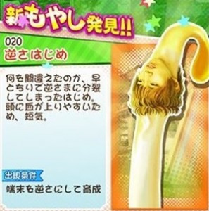 もやししゃちょー攻略図鑑 逆さはじめ