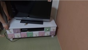 東海オンエアしばゆーあやなんの同棲部屋大公開!家賃も暴露ｗ16