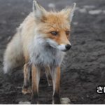 さぼりchの素顔が流出?年齢や仕事・年収など正体に迫る!