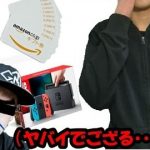 ヒカルVALU騒動でカブキンにもインサイダー疑惑が浮上?みずにゃんが語る理由とは?