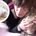 ツインズの猫ちゃちゃ・マロン・ぷーちゃんの種類や誕生日&年齢は?wiki風プロフィールで徹底解説!