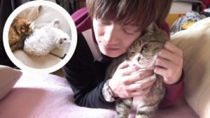 ツインズの猫ちゃちゃ･マロン･ぷーちゃんの種類や誕生日&年齢は?wiki風プロフィールで徹底解説!