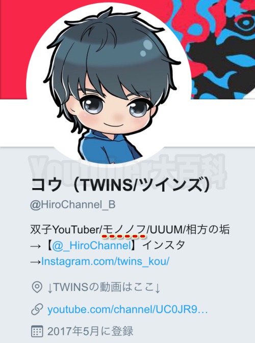 TWINS/ツインズ(双子YouTuber)コウ&ひろむのメンバープロフィール完全まとめ!ペイや猫ちゃちゃ&マロンについても【ひろちゃんねる ...