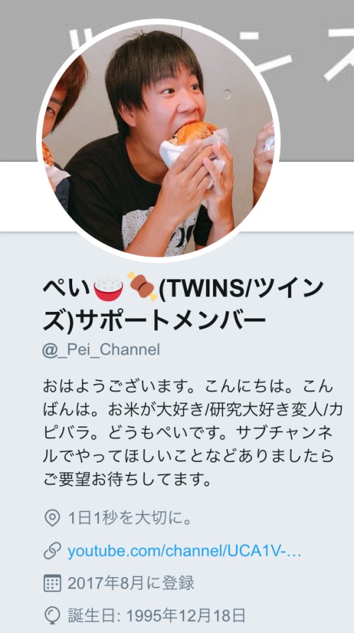 TWINS/ツインズ(双子YouTuber)コウ&ひろむのメンバープロフィール完全まとめ!ペイや猫ちゃちゃ&マロンについても【ひろちゃんねる ...